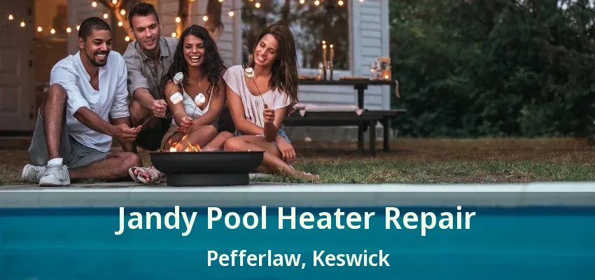 Jandy Pool Heater Repair Pefferlaw, Keswick - ON Jandy Pool Heater Repair Pefferlaw, Keswick - ON