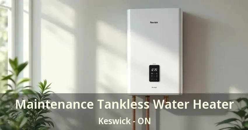 Maintenance Tankless Water Heater Keswick - ON Maintenance Tankless Water Heater Keswick - ON