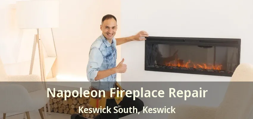 Napoleon Fireplace Repair Keswick South, Keswick - ON