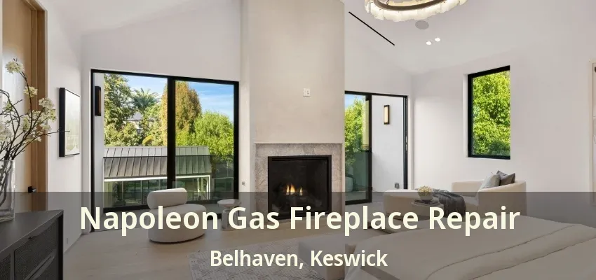 Napoleon Gas Fireplace Repair Belhaven, Keswick - ON Napoleon Gas Fireplace Repair Belhaven, Keswick - ON