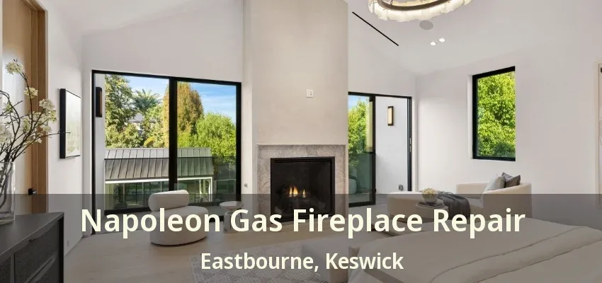 Napoleon Gas Fireplace Repair Eastbourne, Keswick - ON