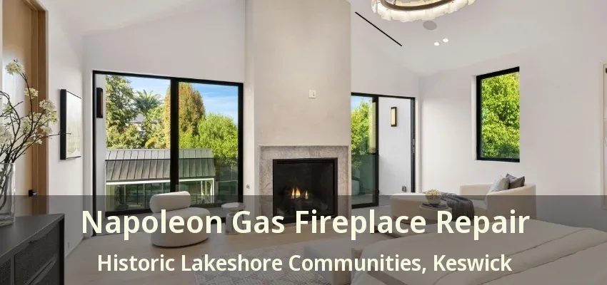 Napoleon Gas Fireplace Repair Historic Lakeshore Communities, Keswick - ON