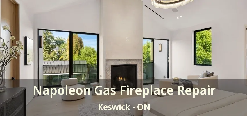 Napoleon Gas Fireplace Repair Keswick - ON Napoleon Gas Fireplace Repair Keswick - ON