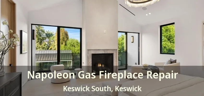 Napoleon Gas Fireplace Repair Keswick South, Keswick - ON