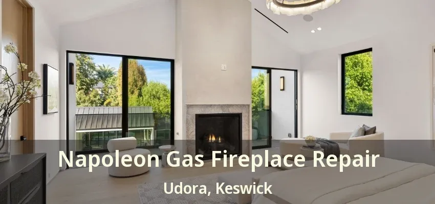 Napoleon Gas Fireplace Repair Udora, Keswick - ON