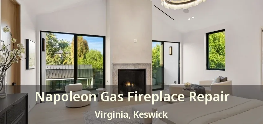 Napoleon Gas Fireplace Repair Virginia, Keswick - ON Napoleon Gas Fireplace Repair Virginia, Keswick - ON