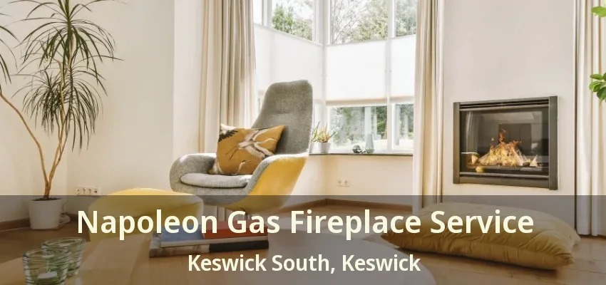 Napoleon Gas Fireplace Service Keswick South, Keswick - ON Napoleon Gas Fireplace Service Keswick South, Keswick - ON