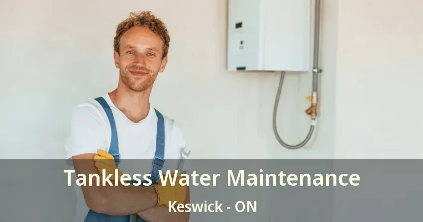 Tankless Water Maintenance Keswick - ON Tankless Water Maintenance Keswick - ON